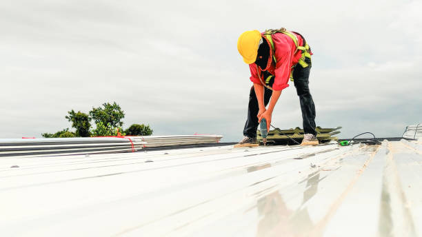 Best Steel Roofing  in Salida, CA